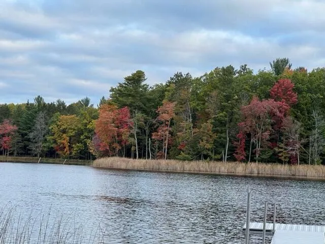 1125 Chaput Drive Orient Township, MI 49679
