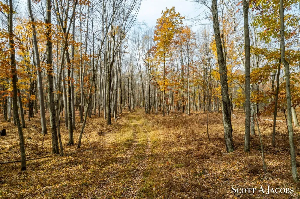 1125 Chaput Drive Orient Township, MI 49679
