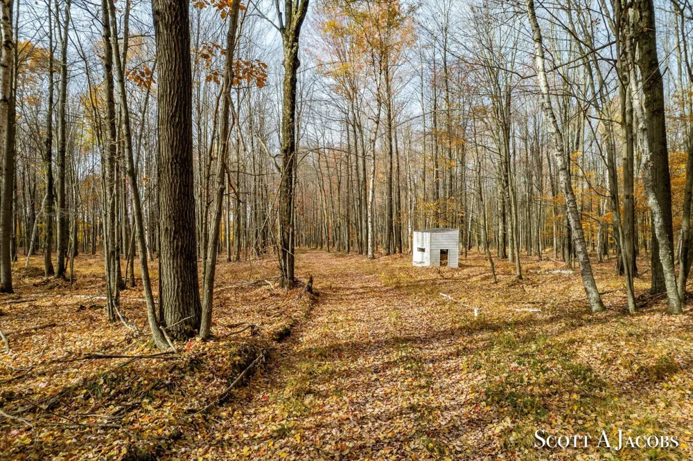 1125 Chaput Drive Orient Township, MI 49679