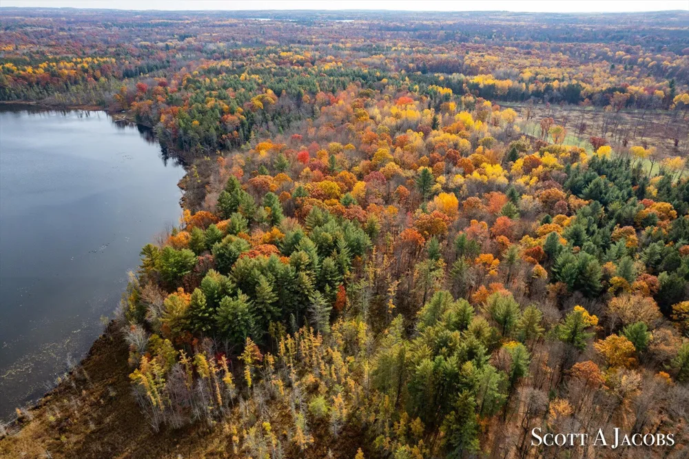 1125 Chaput Drive Orient Township, MI 49679