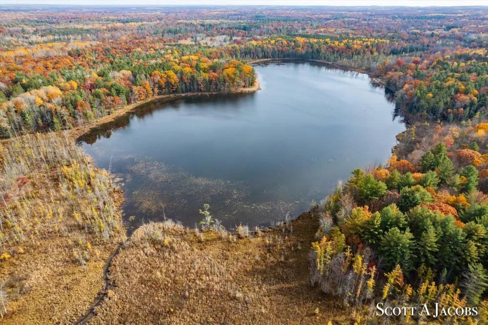 1125 Chaput Drive Orient Township, MI 49679