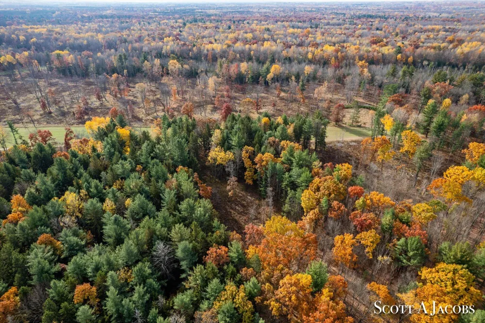 1125 Chaput Drive Orient Township, MI 49679