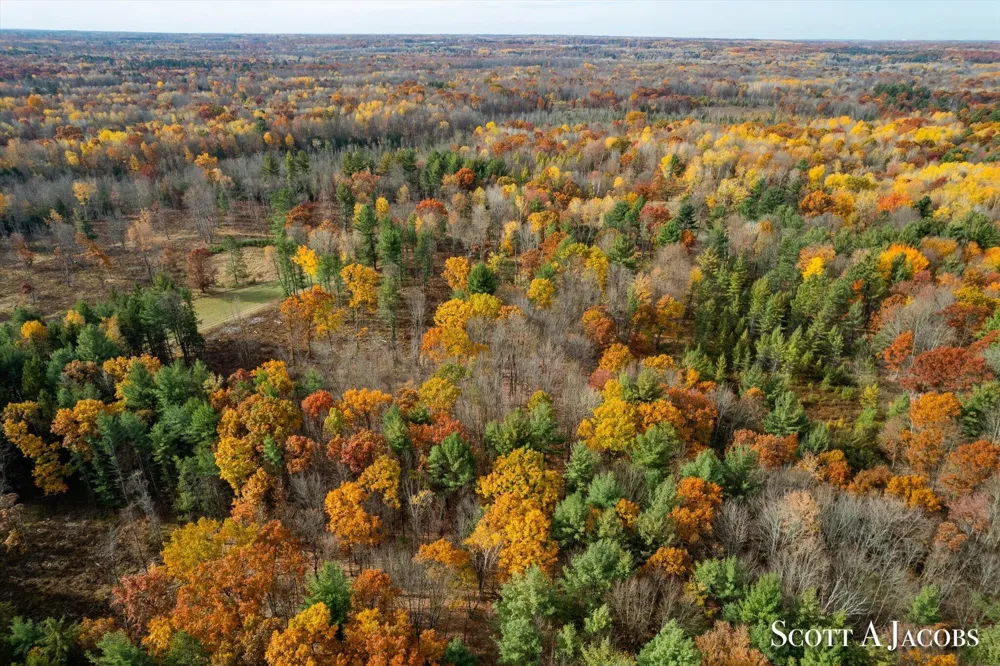 1125 Chaput Drive Orient Township, MI 49679