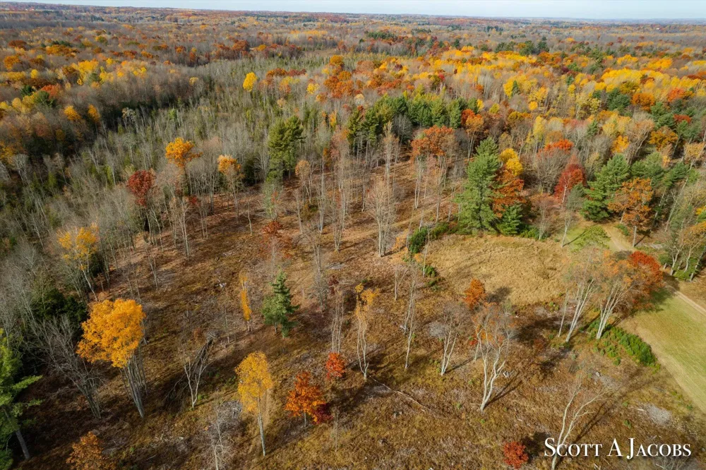 1125 Chaput Drive Orient Township, MI 49679