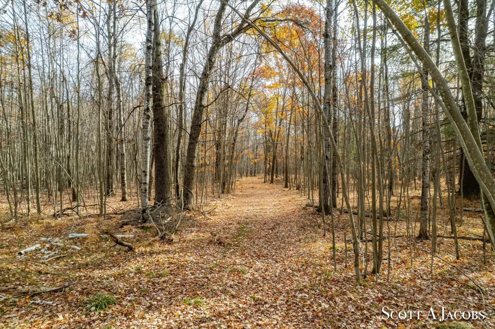1125 Chaput Drive Orient Township, MI 49679