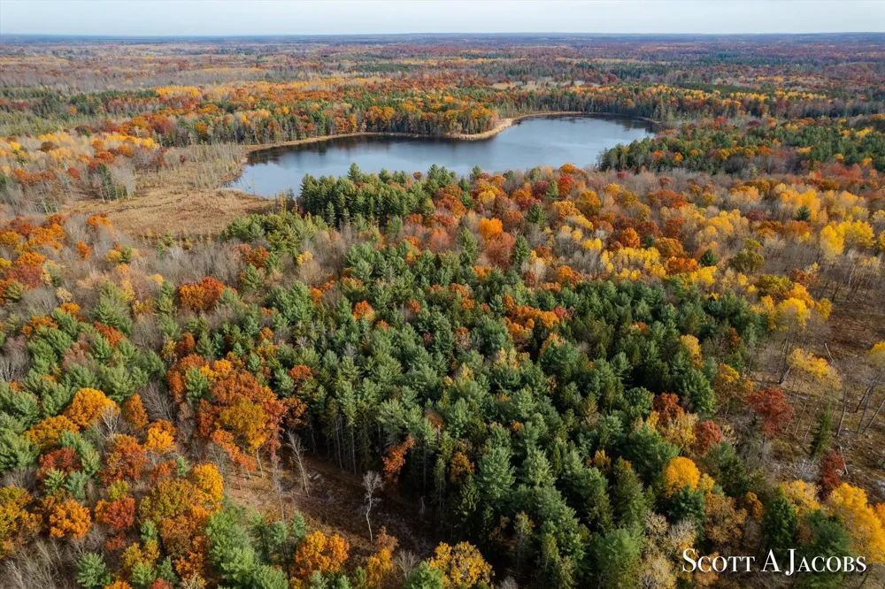 1125 Chaput Drive Orient Township, MI 49679