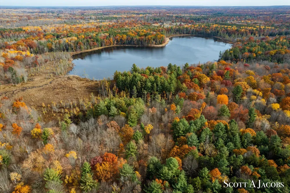 1125 Chaput Drive Orient Township, MI 49679