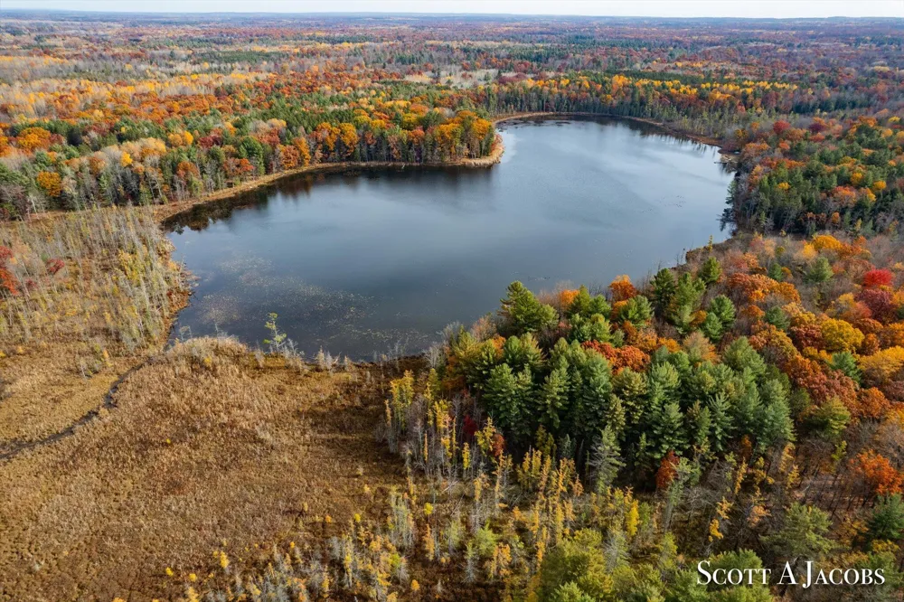 1125 Chaput Drive Orient Township, MI 49679