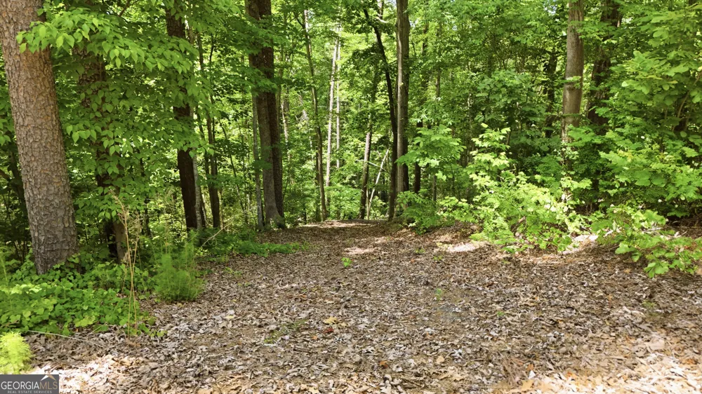 237 Waters Edge CT Martin, GA 30557