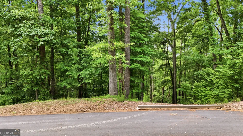 237 Waters Edge CT Martin, GA 30557