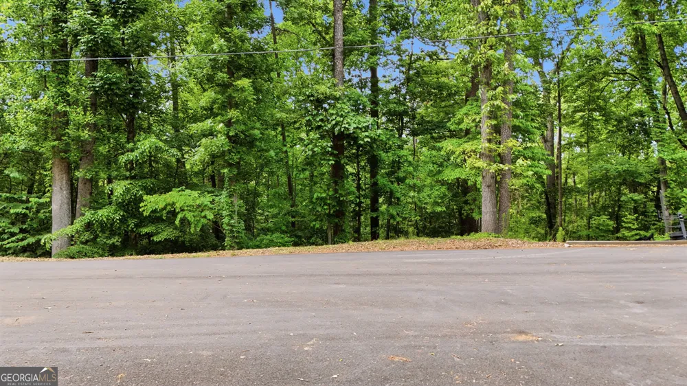 237 Waters Edge CT Martin, GA 30557