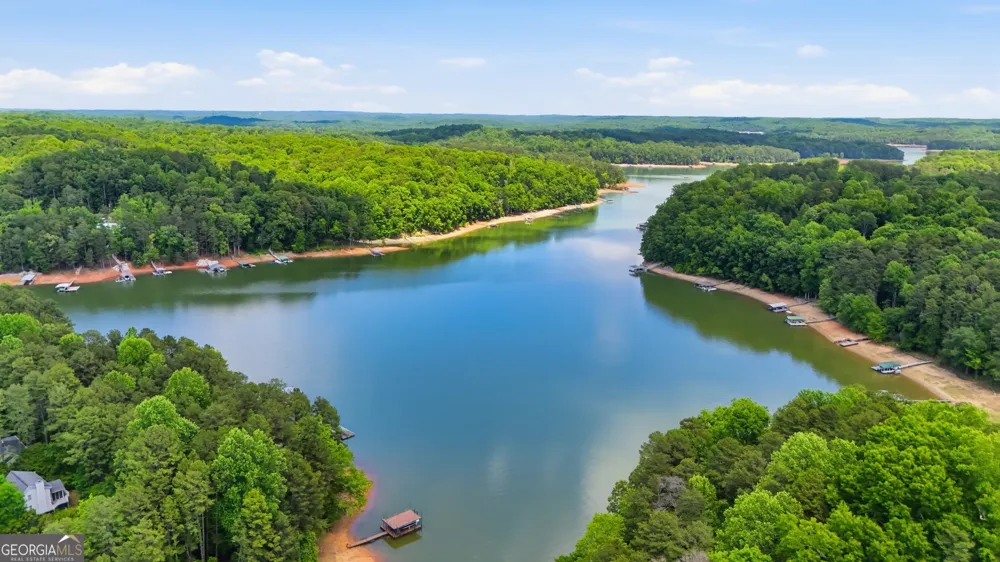 237 Waters Edge CT Martin, GA 30557