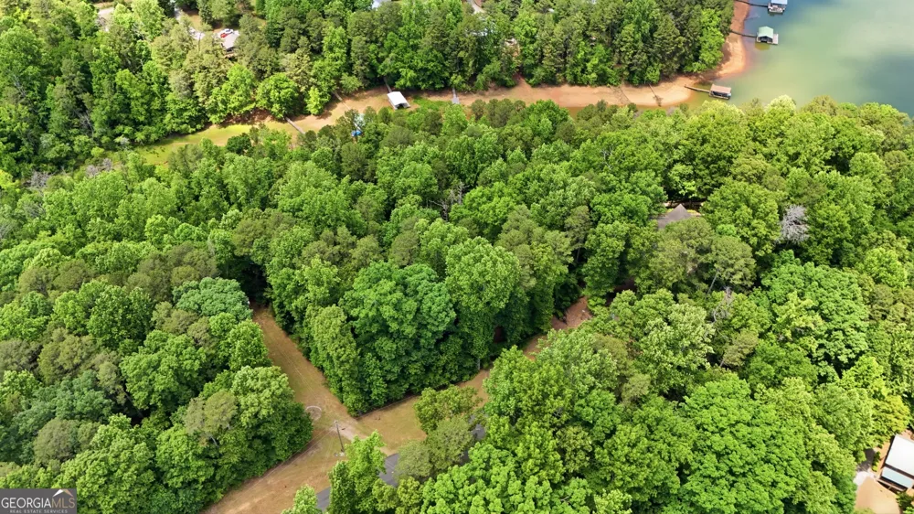 237 Waters Edge CT Martin, GA 30557
