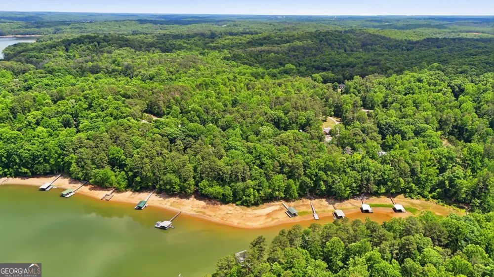 237 Waters Edge CT Martin, GA 30557