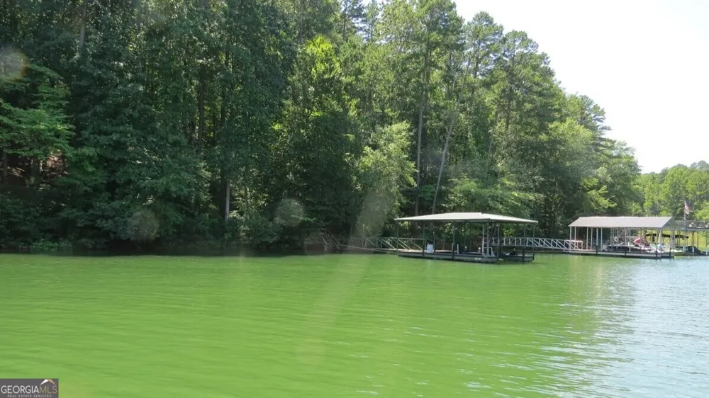 237 Waters Edge CT Martin, GA 30557