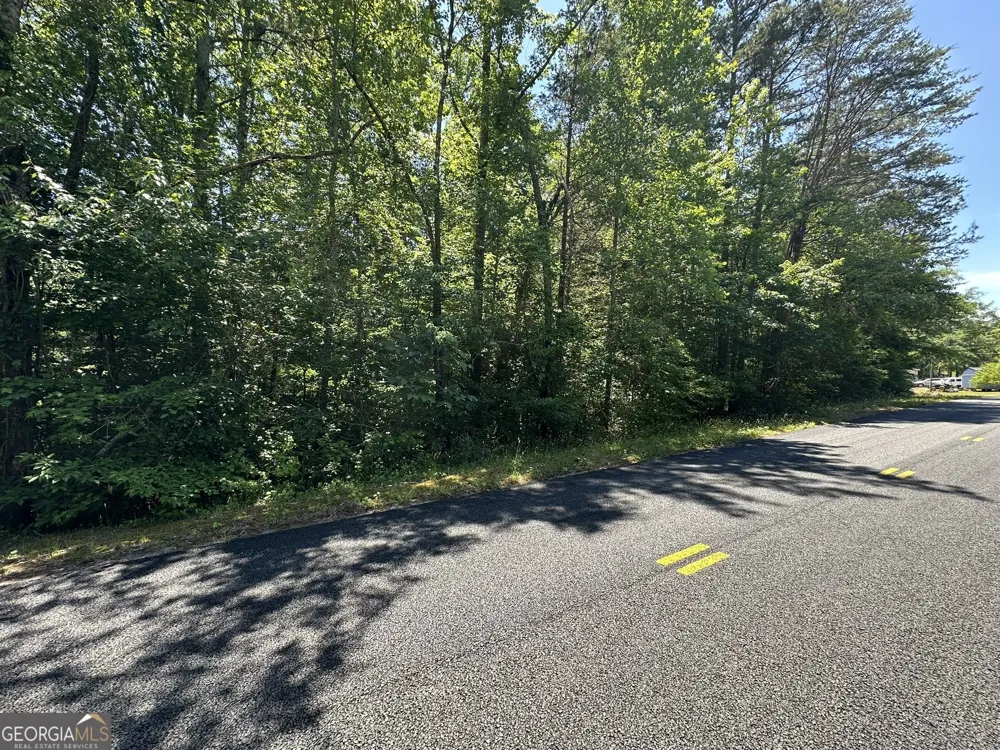 38 S Century DR Martin, GA 30557
