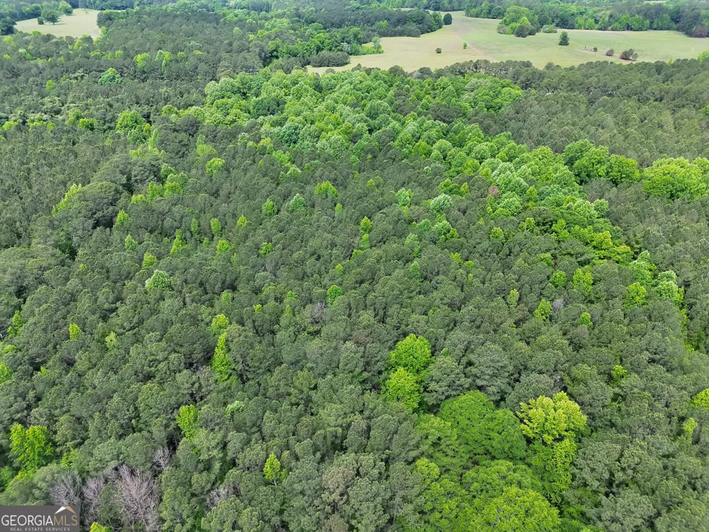 14+ ACRES Highway 85 Gay, GA 30218