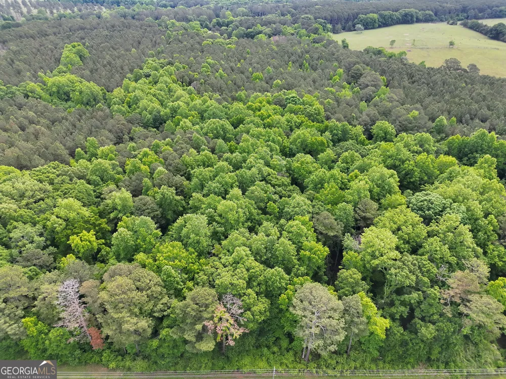 14+ ACRES Highway 85 Gay, GA 30218