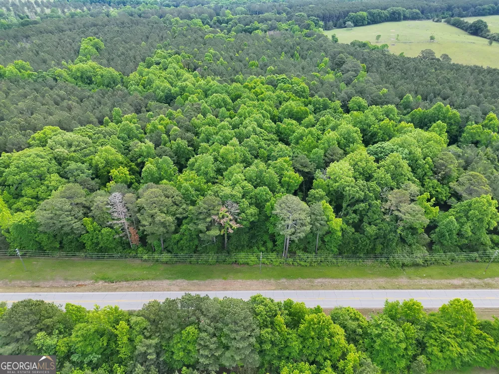 14+ ACRES Highway 85 Gay, GA 30218