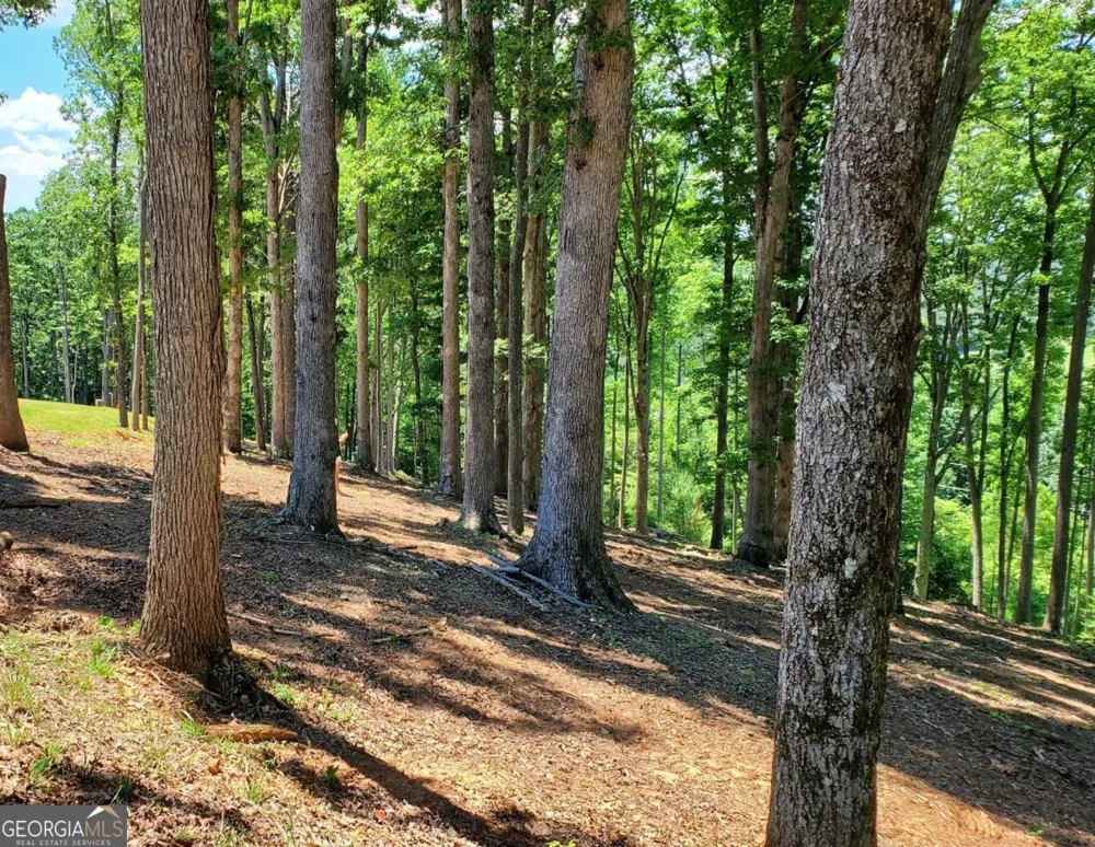 LOT 140 Highland PARK Blairsville, GA 30512