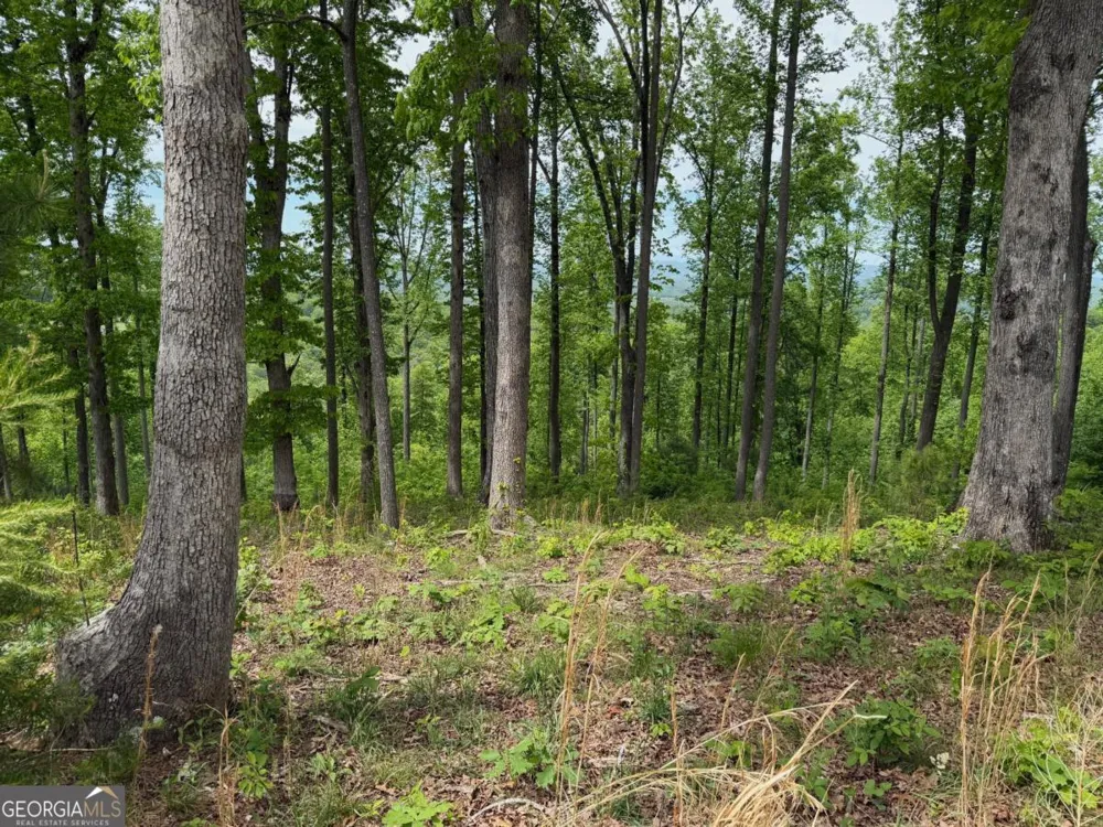 LOT 140 Highland PARK Blairsville, GA 30512