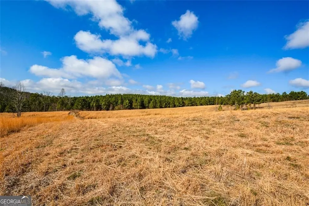 119 Inland Drive 3 acres Talking Rock, GA 30175