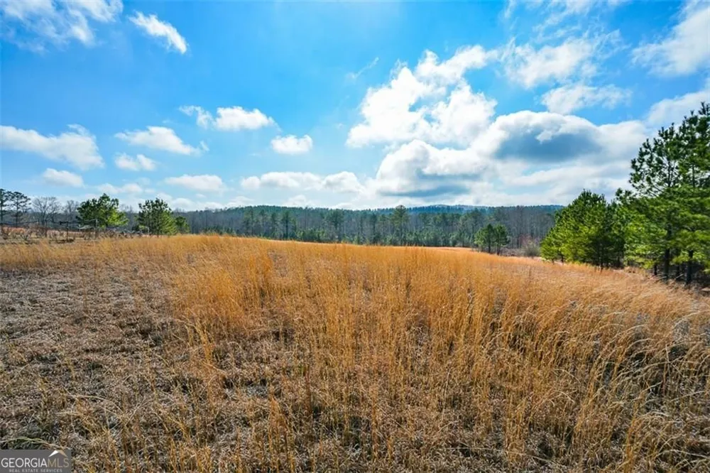 119 Inland Drive 3 acres Talking Rock, GA 30175