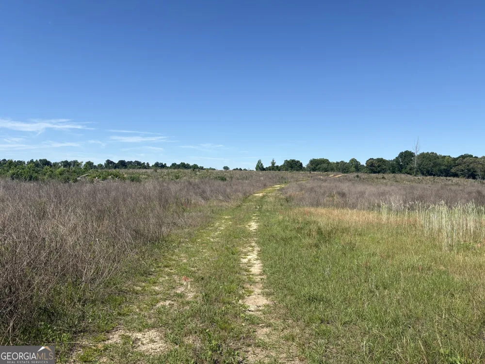 2638 Henderson Grove RD Sandersville, GA 31082