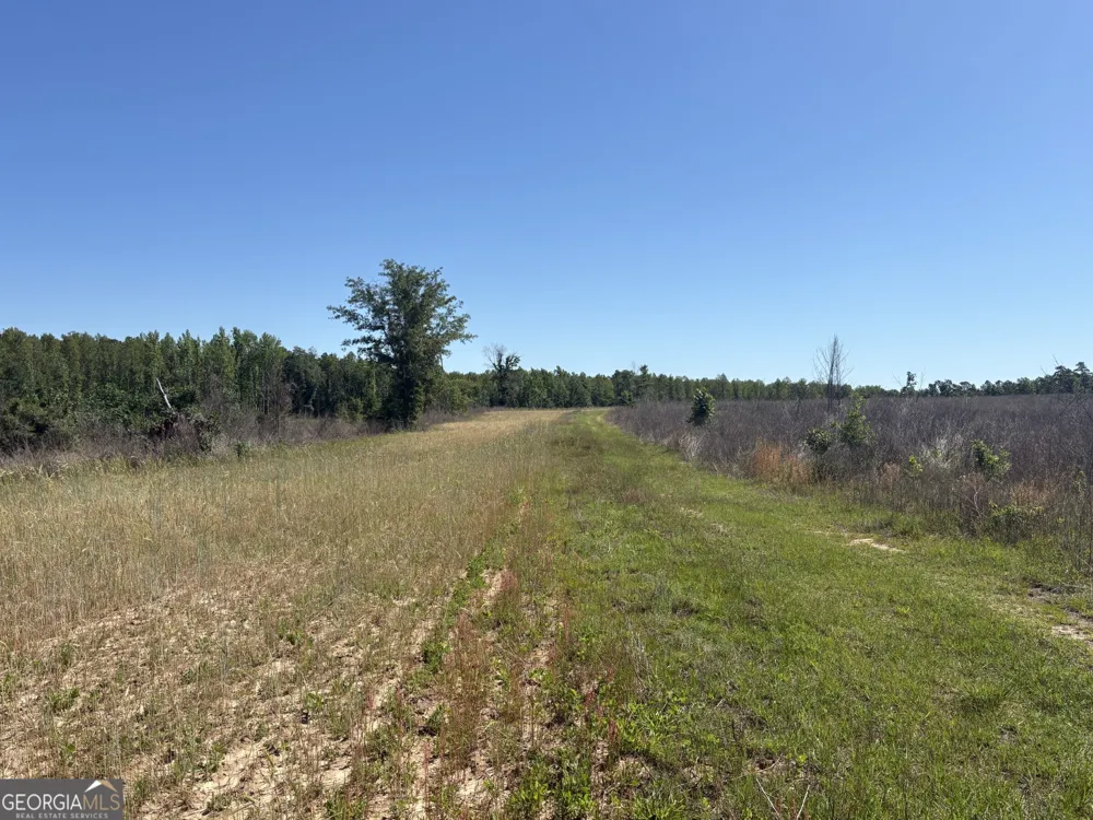 2638 Henderson Grove RD Sandersville, GA 31082