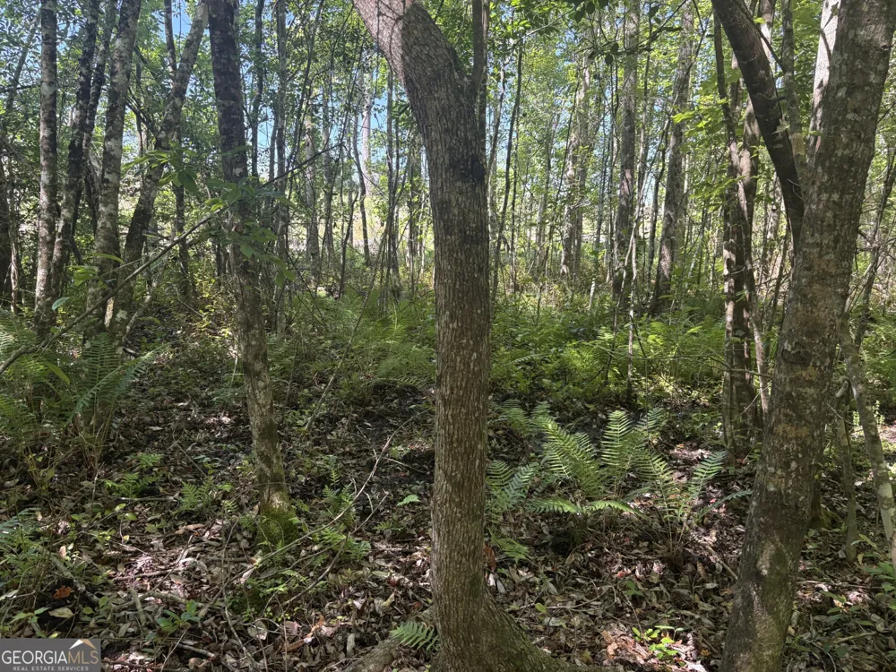 2638 Henderson Grove RD Sandersville, GA 31082