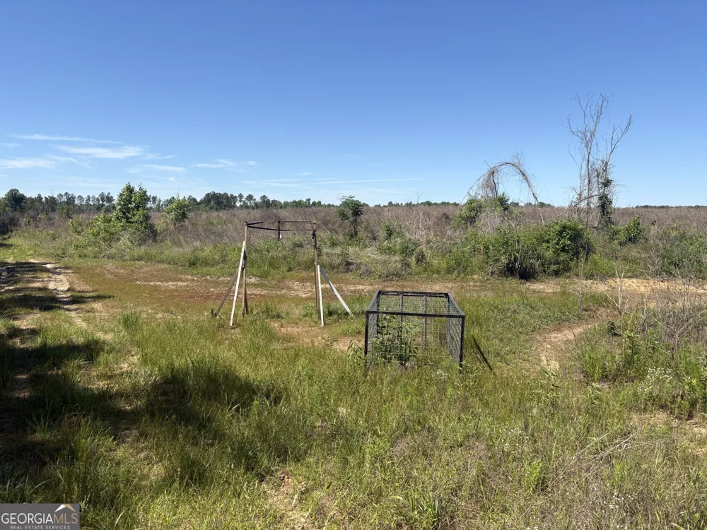 2638 Henderson Grove RD Sandersville, GA 31082