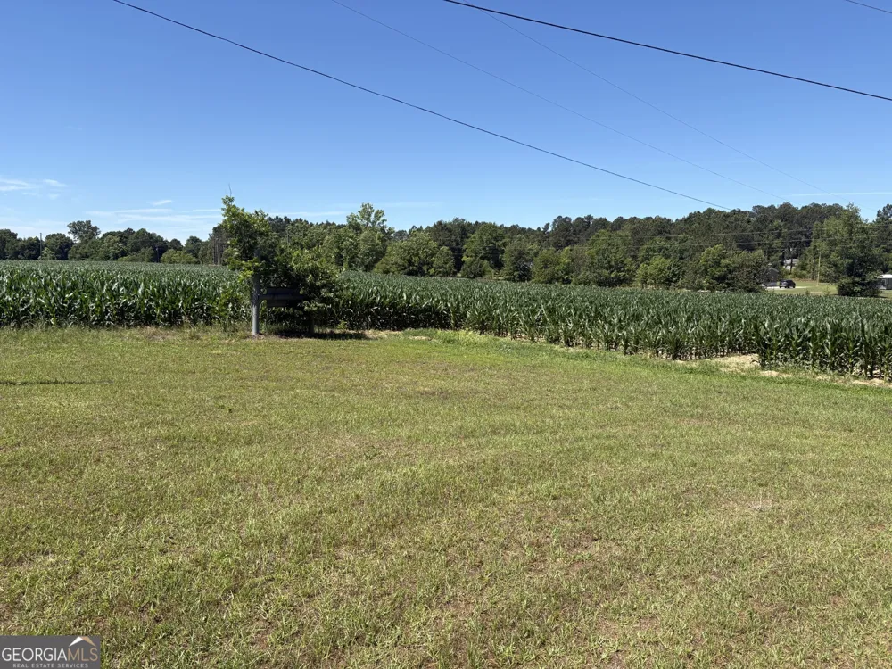 2638 Henderson Grove RD Sandersville, GA 31082