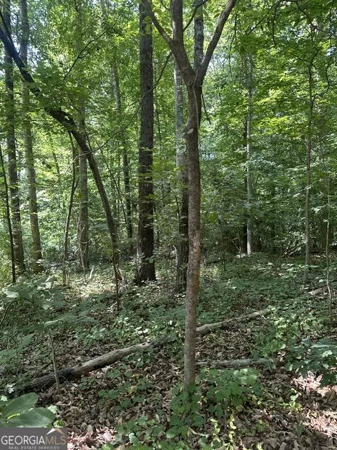 LOT 144 Lewis DR Lavonia, GA 30553