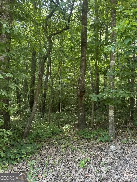 LOT 144 Lewis DR Lavonia, GA 30553