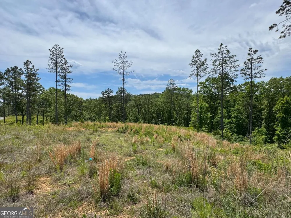 LOT 243 Spear Point DR Talking Rock, GA 30175