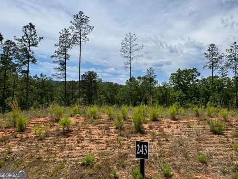 LOT 243 Spear Point DR