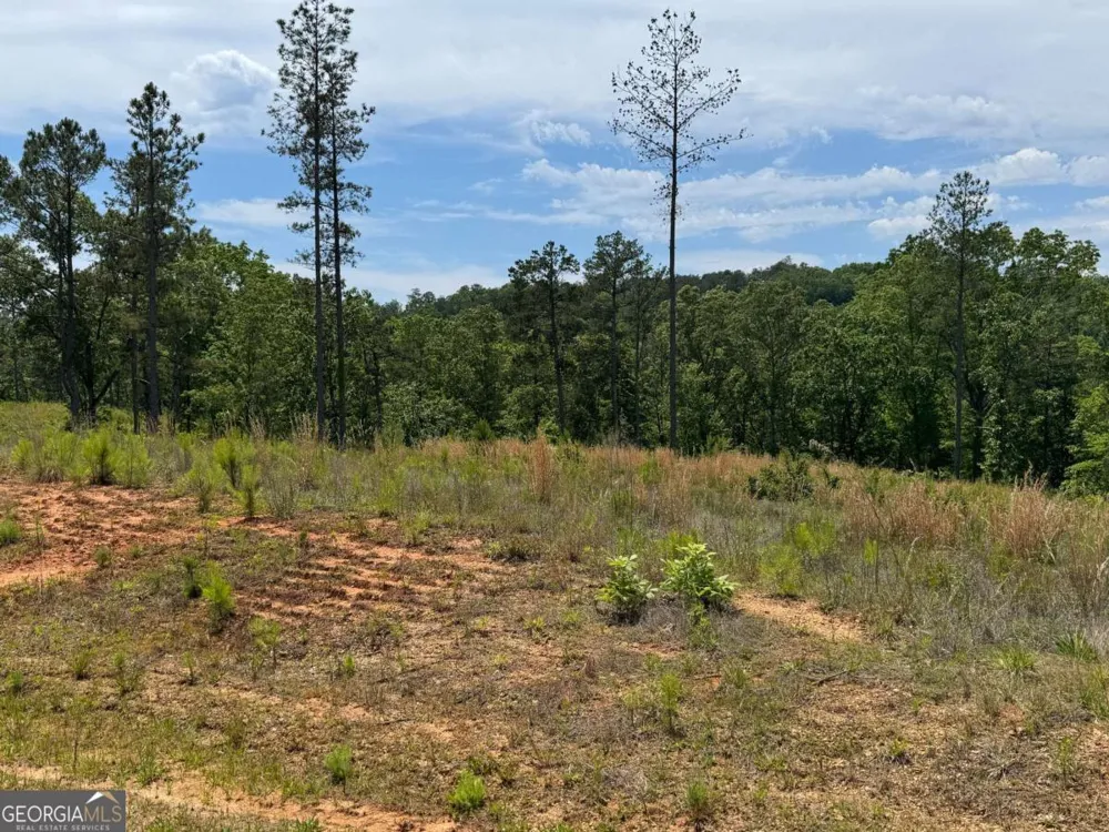 LOT 243 Spear Point DR Talking Rock, GA 30175