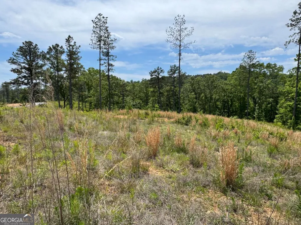 LOT 243 Spear Point DR Talking Rock, GA 30175