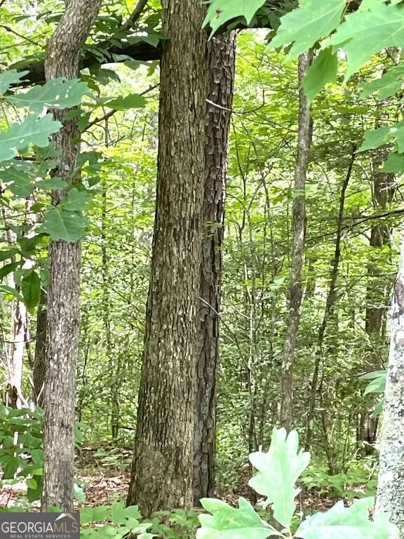 0 Stewart RD Dunlap, TN 37379
