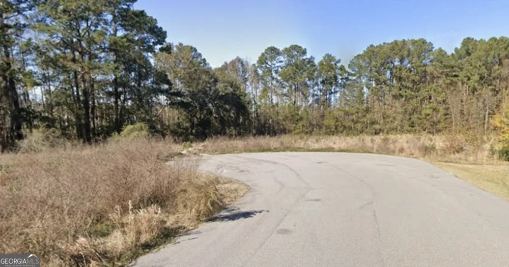 50 Wise CT Richmond Hill, GA 31324