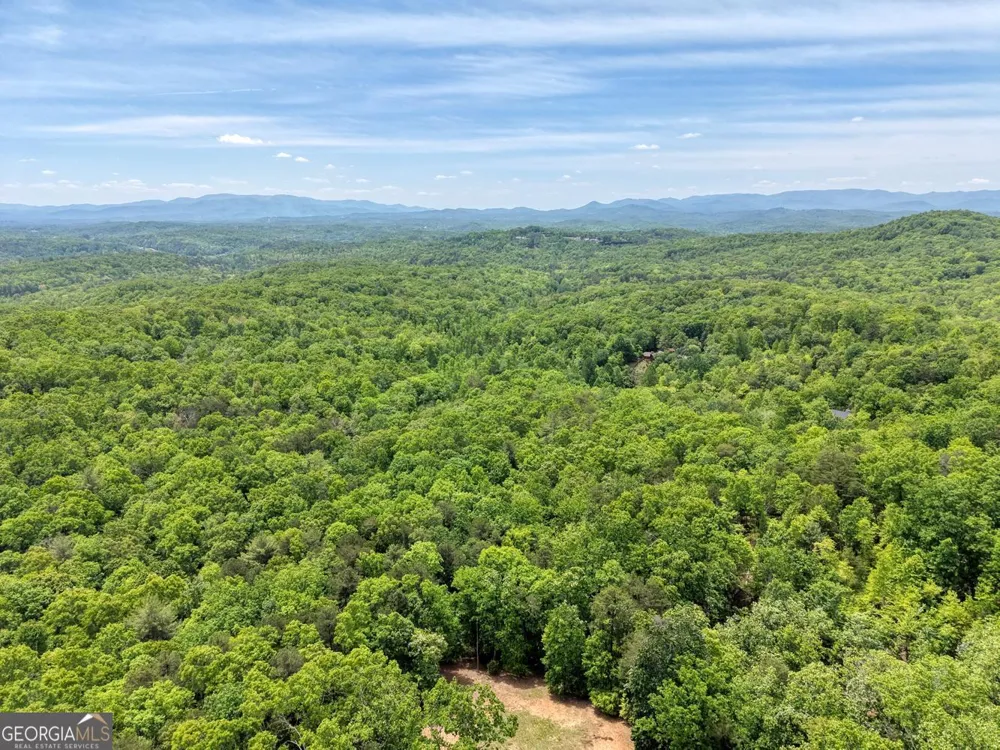 57.30 AC Stuart View Mineral Bluff, GA 30559