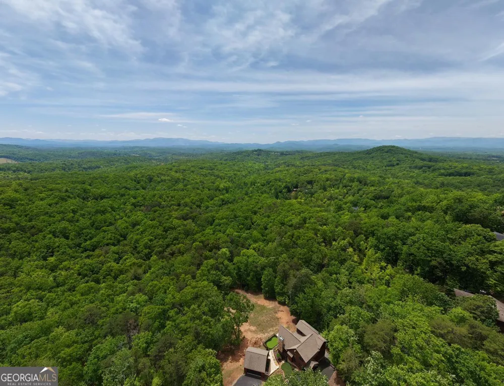 57.30 AC Stuart View Mineral Bluff, GA 30559