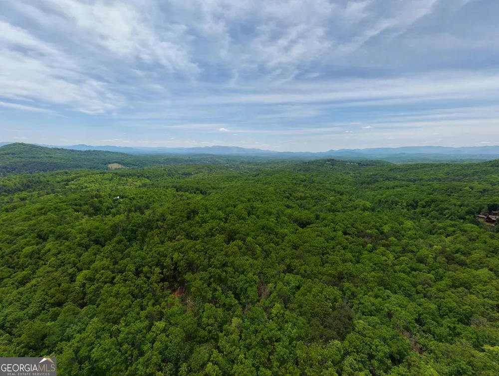 57.30 AC Stuart View Mineral Bluff, GA 30559