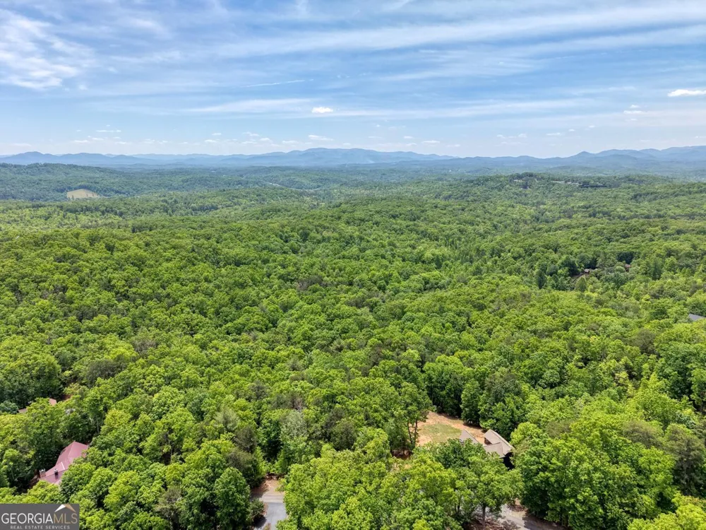57.30 AC Stuart View Mineral Bluff, GA 30559