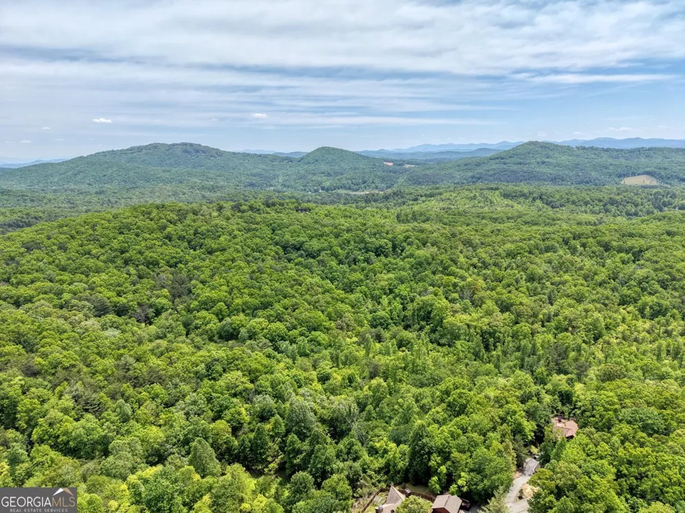 57.30 AC Stuart View Mineral Bluff, GA 30559