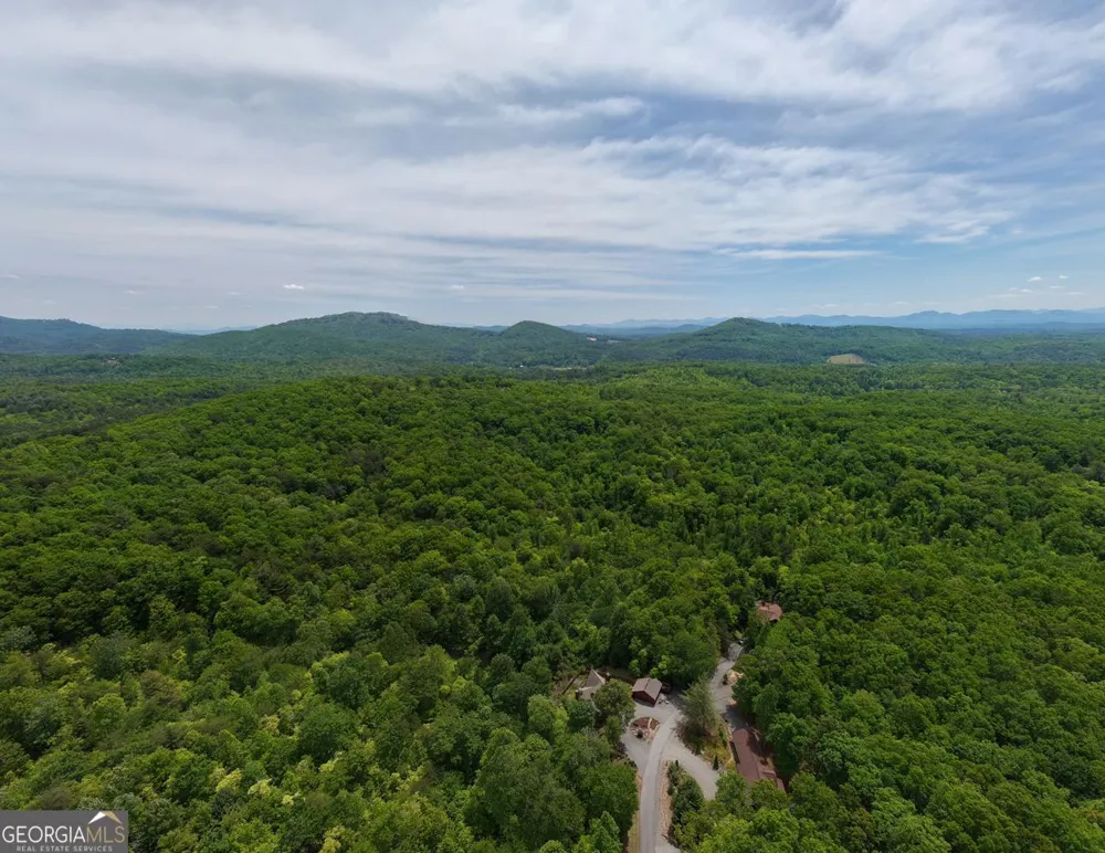 57.30 AC Stuart View Mineral Bluff, GA 30559