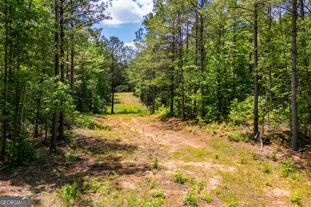 US Highway 78 Waco, GA 30182