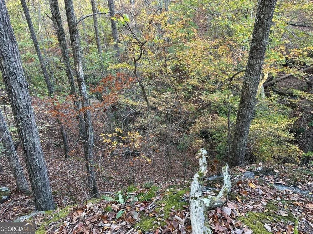 1806 Browning RD Rockmart, GA 30153