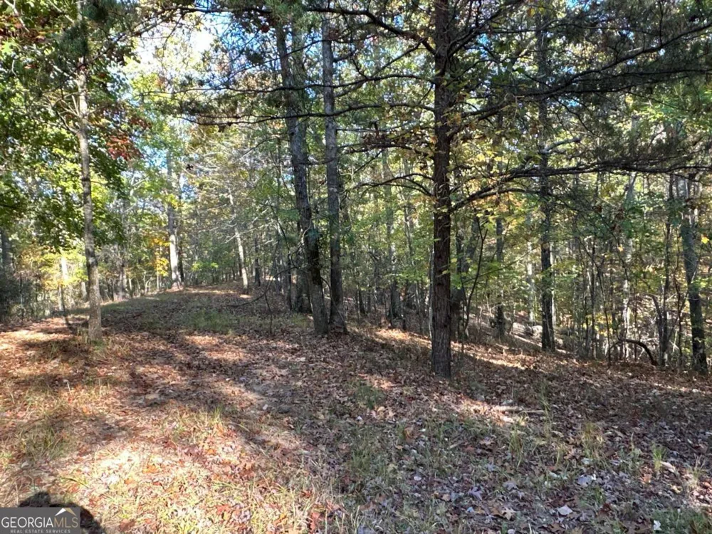 1806 Browning RD Rockmart, GA 30153