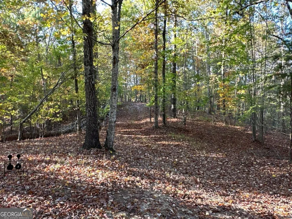 1806 Browning RD Rockmart, GA 30153